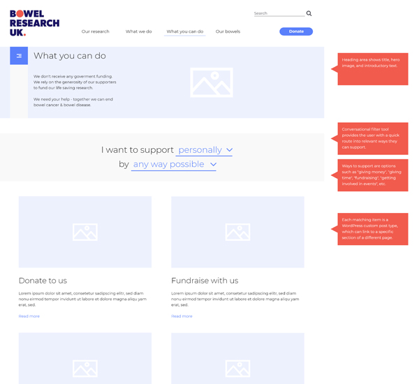 Wireframe or low fidelity mockup for Bowel Research UK website