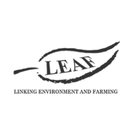 mono logo for LEAF